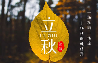 今日立秋：暑去凉来，一叶知秋。